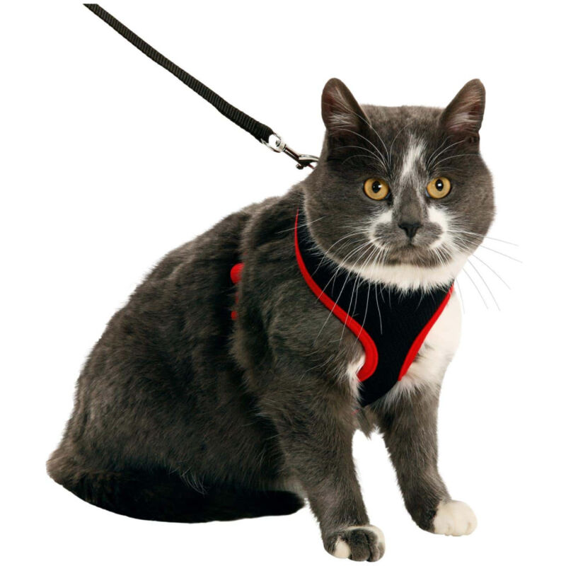 Flamingo - Harnais pour chat, couleur noir et rouge, taille m, réglable Flamingo - Harnais pour chat, couleur noir et rouge, taille m, réglable