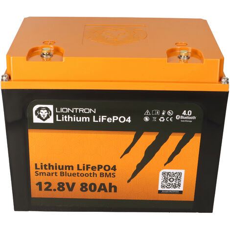 SET LIONTRON Akku 12,8V 100Ah + Victron Energy Ladebooster