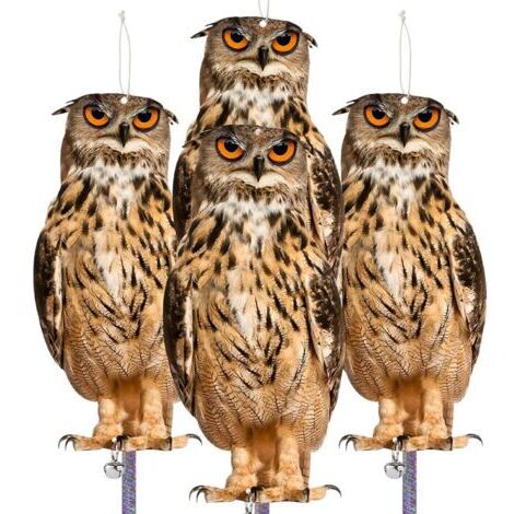 Set mit 4 künstlichen Eulen zur Vogelabwehr – Tauben- und Spechtscheuche fernhalten – ideal für Obstgärten und Gärten