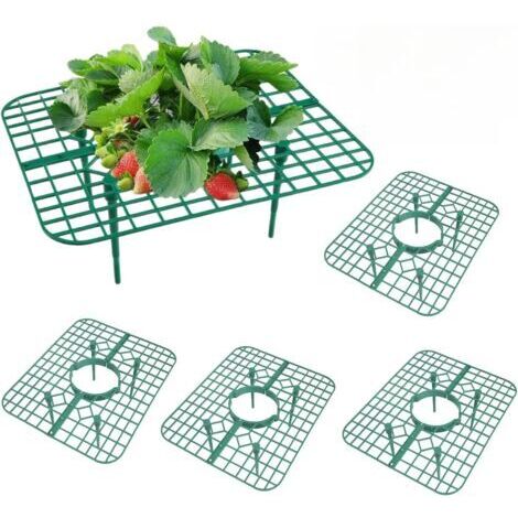 Set mit 5 Anzuchtstützen für Erdbeeren und Beeren