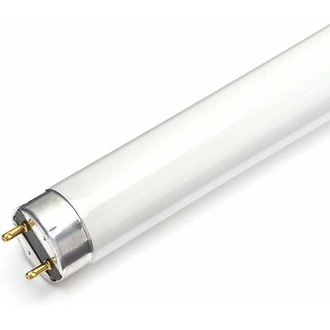 Set Neon Fluorescenti Master Tl-D Eco 32W/865 Slv/25PHI25PZ-3286ECO