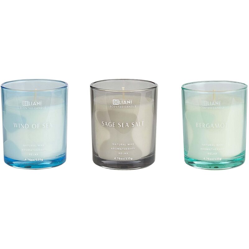 Beliani Set Of 3 Scented Candles 100% Soy Wax Cotton Wick Glass Fresh Natural Fragrance Bergamot/wind Of Sea/sage Sea Salt Sheer Joy