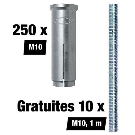 Set promotionnel Fischer Chevilles à frapper EA II - M10, 250 pièces + 10 tiges filetées M8 gratuites