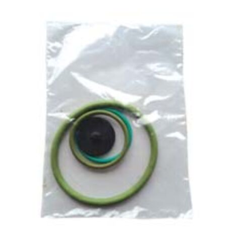 Set ricambi per pompa ares viton 1 pezzi Daldegan
