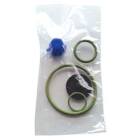 Set ricambi per pompe eros viton 1 pezzi Daldegan