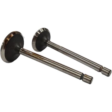 Set valvole per motore 178F Kipor, Zanetti, Kama compatibile