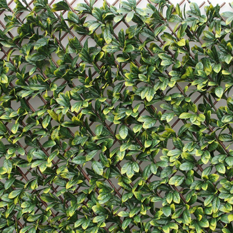 

Seto celosía extensible Laurel 1x2m