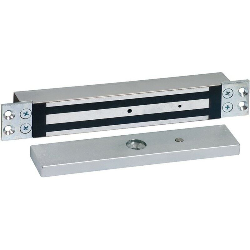 Sewosy - EF30035ENCCTCCA inox Ventouse électromagnétique encastrée 300kg 12/24V