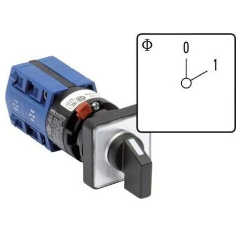 Sezionatore 10 A 1 x 60 ° Grigio, Nero Kraus & Naimer CG4 A202-600 FS2 1 pz.