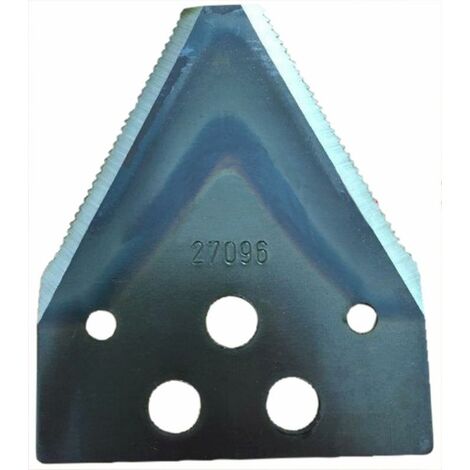 Sezione Rigata BCS 58027096