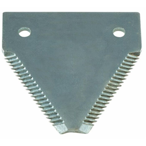 Sezione Rigata Fori Svasati Sotto BCS 58048945, Bertolini 1457300/2