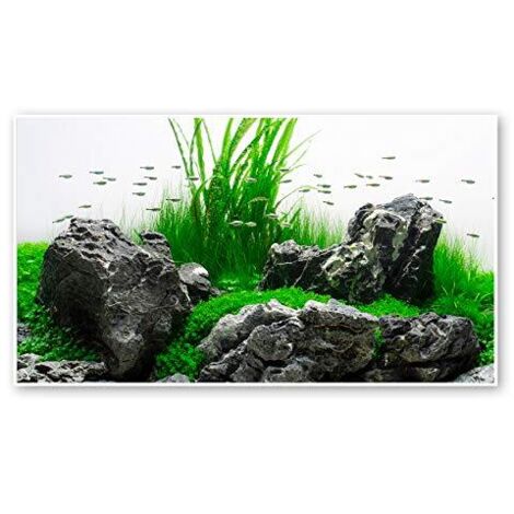 Sfondo doppio Amazonia blister 45x100 cm