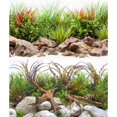 Sfondo doppio River blister 30x60cm