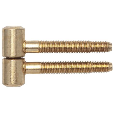 SFS Einbohrband für Futtertüren, 16 mm, Stahl vermessingt