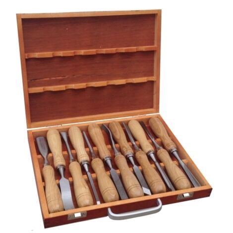 Sgorbie e scalpelli a taglio per legno professionali set 12 pz in valigetta