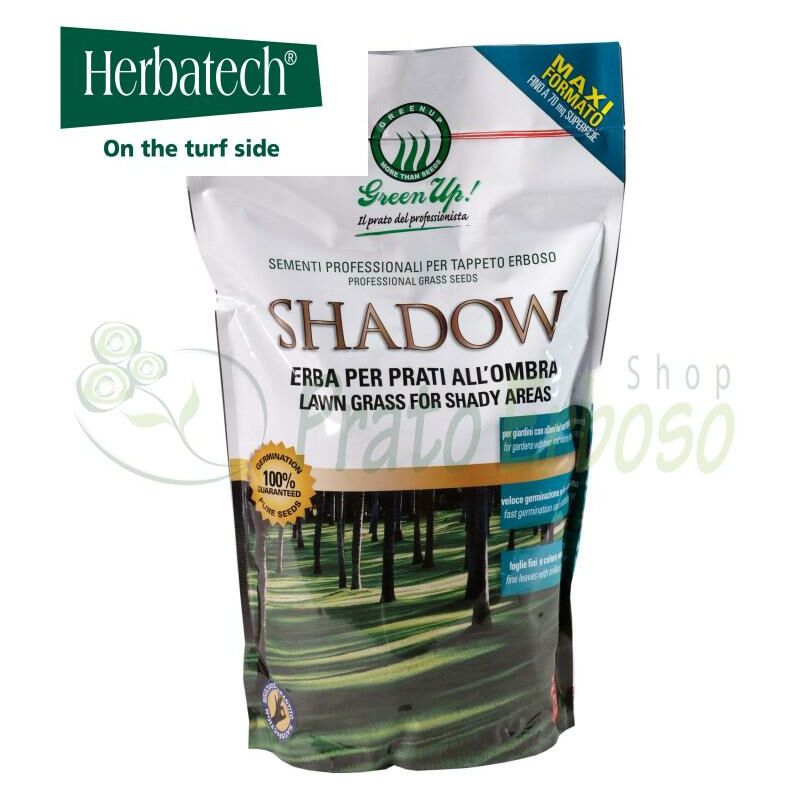 

Shadow - Semillas para césped a la sombra 1,2 Kg