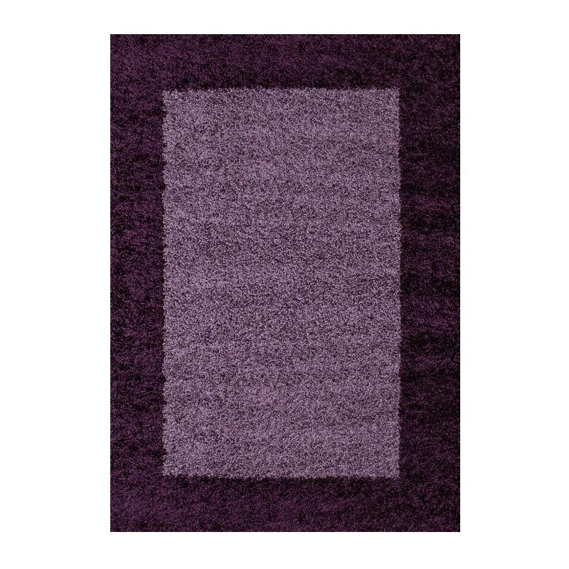 Tapis Shaggy Poils Longs Bicolore (Violet - 300x400cm)