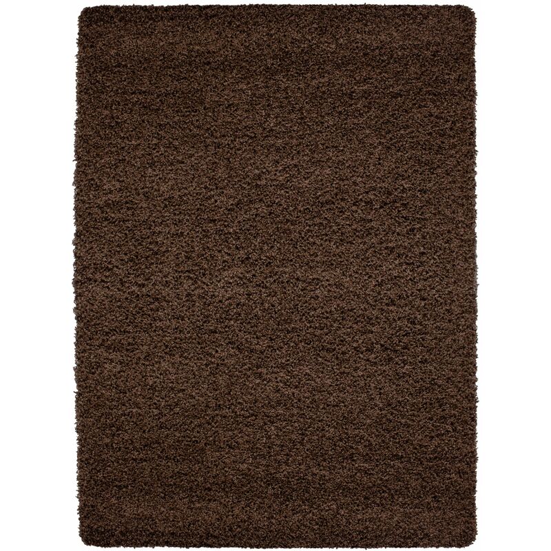 Tapis Shaggy Uni Poils Longs Tapis Salon Chambre Couloir (Marron - 300x400cm)