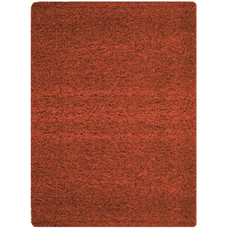 Tapis Shaggy Uni Poils Longs Tapis Salon Chambre Couloir (Terracotta - 100x200cm)
