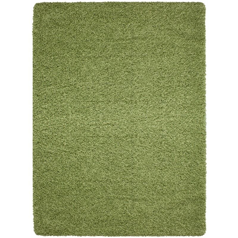 Tapis Shaggy Uni Poils Longs Tapis Salon Chambre Couloir (Vert - 160x230cm)
