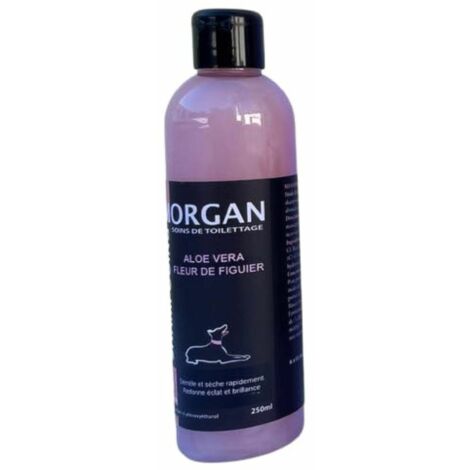 Shampoing Aloe Vera & Fleur de Figuier Morgan - 250 ml