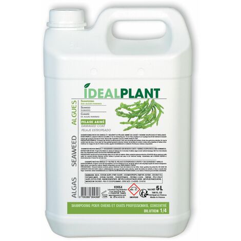 Shampoing aux algues marines IdealPlant : 5L