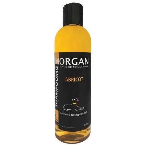 Shampoing protéiné à l'abricot Morgan : 250ml