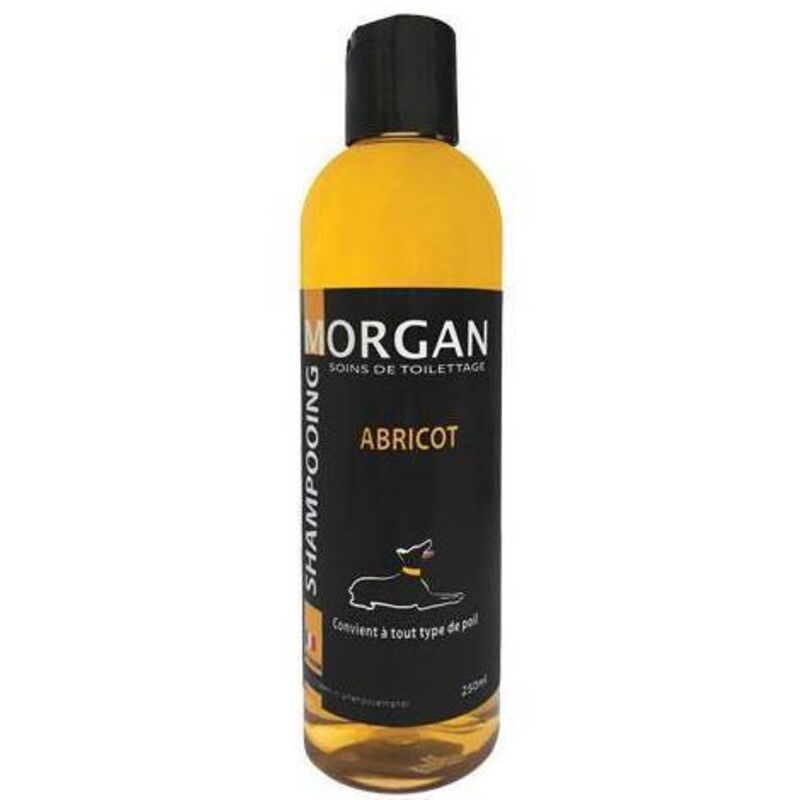 Shampoing protéiné à l'abricot Morgan 250ml