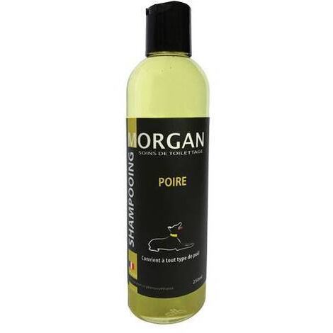 Shampoing protéiné Poire Morgan : 250ml