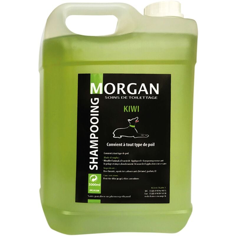 Morgan - Shampoing protéiné senteur Kiwi : 5L