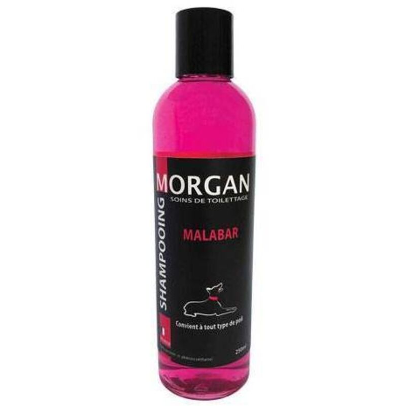 Shampoing protéiné senteur Malabar Morgan 250ml