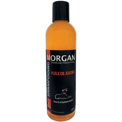 Shampooing huile de jojoba : 250ml