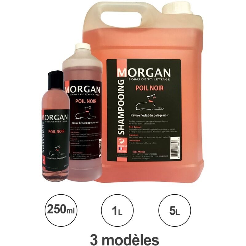 Shampooing poils noirs : 1L