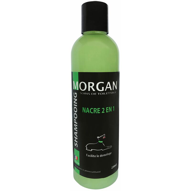 Morgan - Shampooing protéiné nacre 2 en 1 : 250 ml