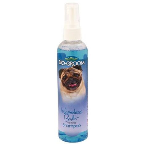 Shampooing sec pour animaux de compagnie, barbe propre, jambes et taches d'urine.
