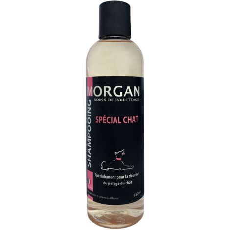 Shampooing spécial chat : 250ml