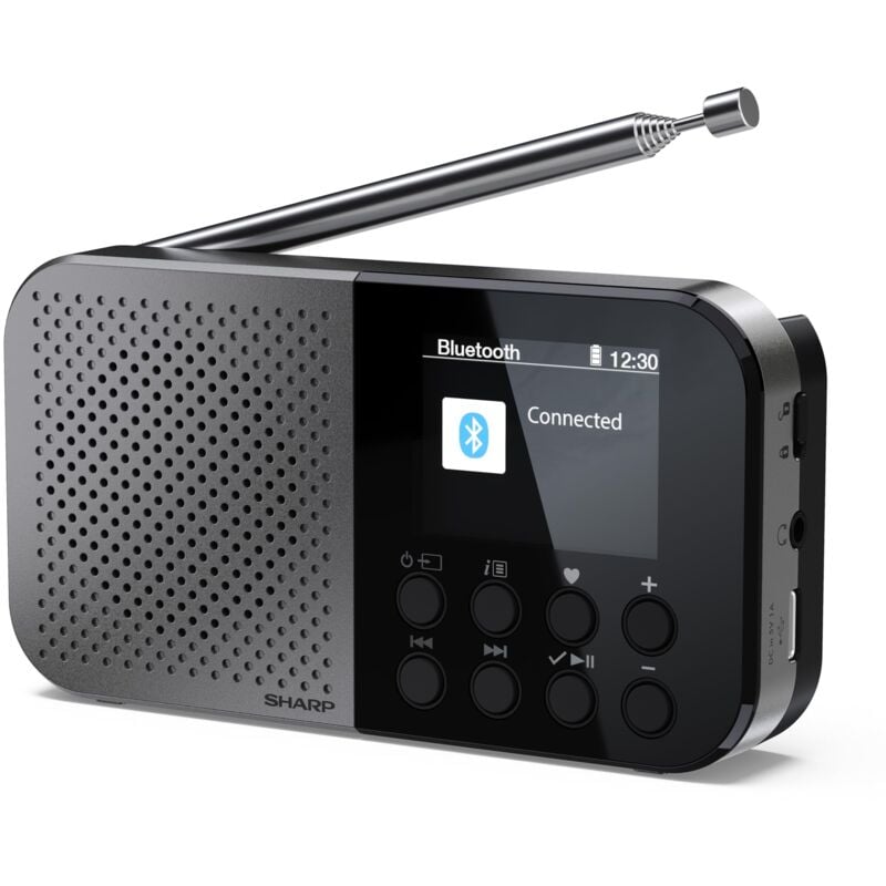 DR-P520(GY) Osaka - Radio numérique portable de Pocket avec Bluetooth 5.3, Audio Mono Dab+/FM Player de, compact et léger, alimenté par