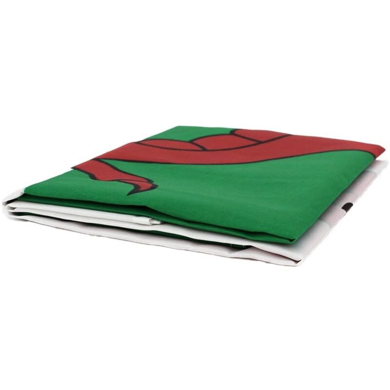 Shatchi - 2 x 3ft Welsh National Flags for Sports Support