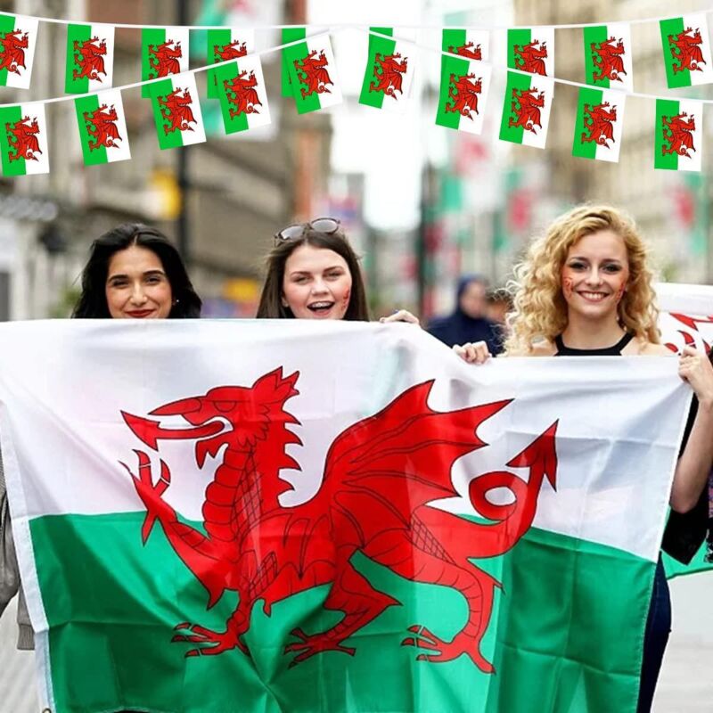 5 x 3ft Welsh National Flags for Sports Support