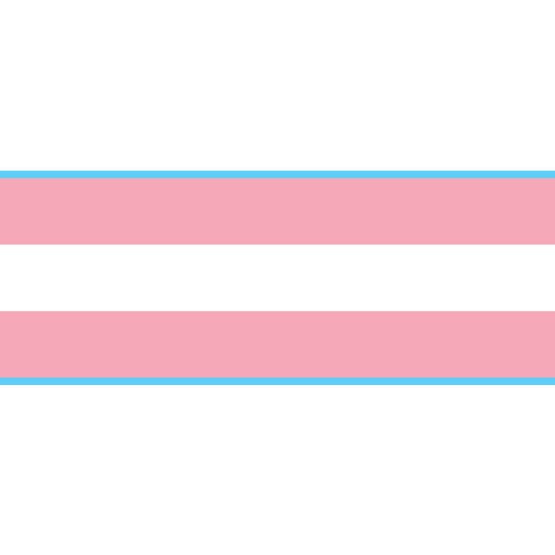 5ft x 3ft Transgender Flag Lesbian Love Gender Diversity Trans/LGBTQ/Pansexual/Non-Binary/Genderfluid Celebration Support - Shatchi