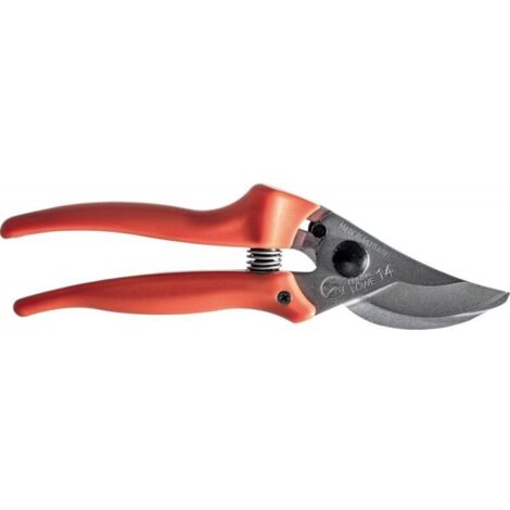 Shear Compatto