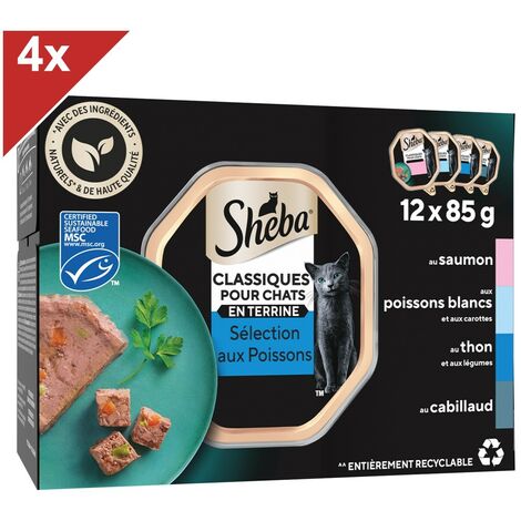 SHEBA Classiques pour chats 72 Barquettes terrine coffret océan 85g (6x12)
