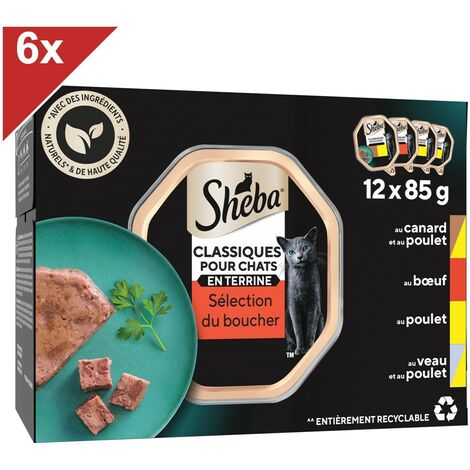SHEBA Classiques pour chats 72 Barquettes terrine coffret traiteur 85g (6x12)