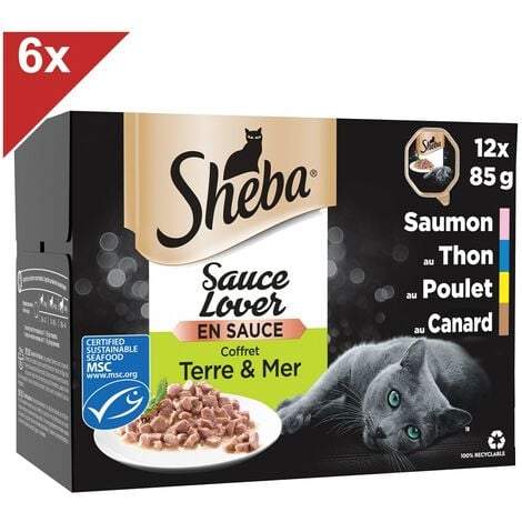 Soupe chat sheba