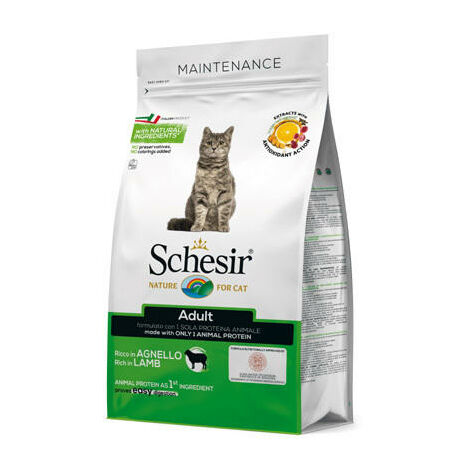 Schesir Dry Cat Mantenimento per Gatto Adult con Agnello