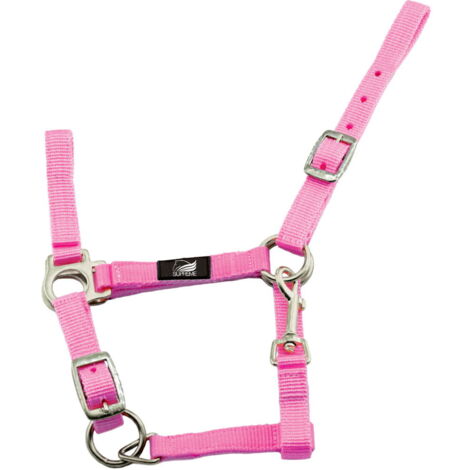 Shetland Mini Mini 000, Turchese: Cavezza per puledro in nylon doppia regolazione con moschettone