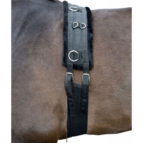 Shettland, Noir et noir 9191: Bandeau d'apprivoisement pour chevaux avec peluches modèle Teddy