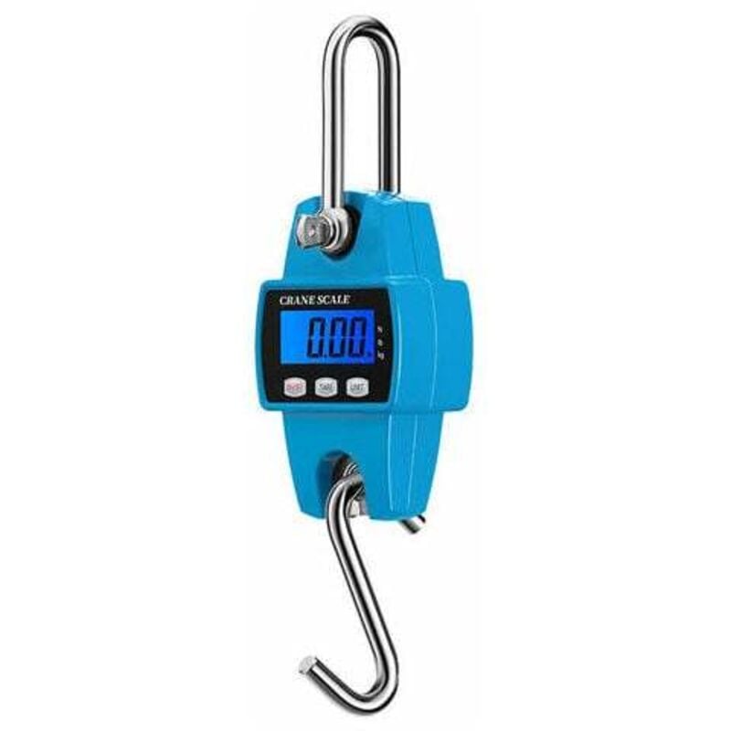 Shining House - 300Kg/50G Echelle De Grue Electronique Echelle De Suspension Numerique Mini Echelle De Levage Echelle De Crochet Electronique