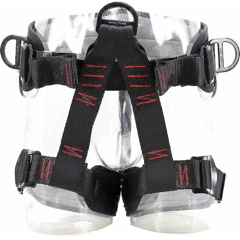 Harnais d'escalade Baudrier Escalade Guide Harnais d'Élagage Ceinture de Sécurité Sangles Demi-Corps pour Homme Femme Alpinisme Descente en Rappel