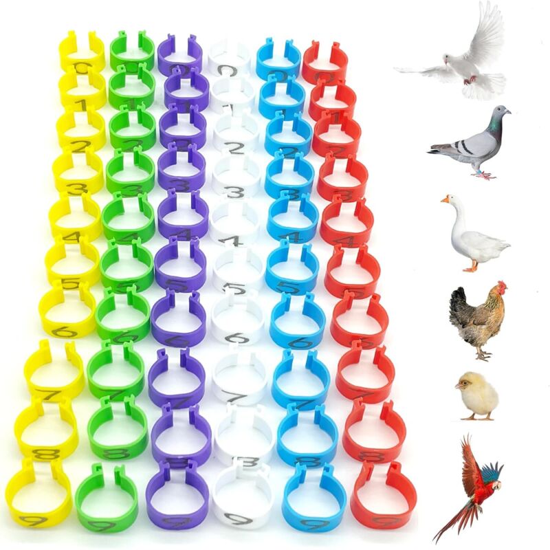 Shining House - 60 pièces Anneaux d'identification pour Poulet Bague d'Identification des Oiseaux Anneaux de jambe en plastique de perroquet Diamètre